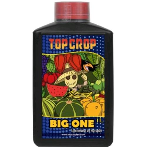 Top Crop Big One - Booster Fioritura Concentrato