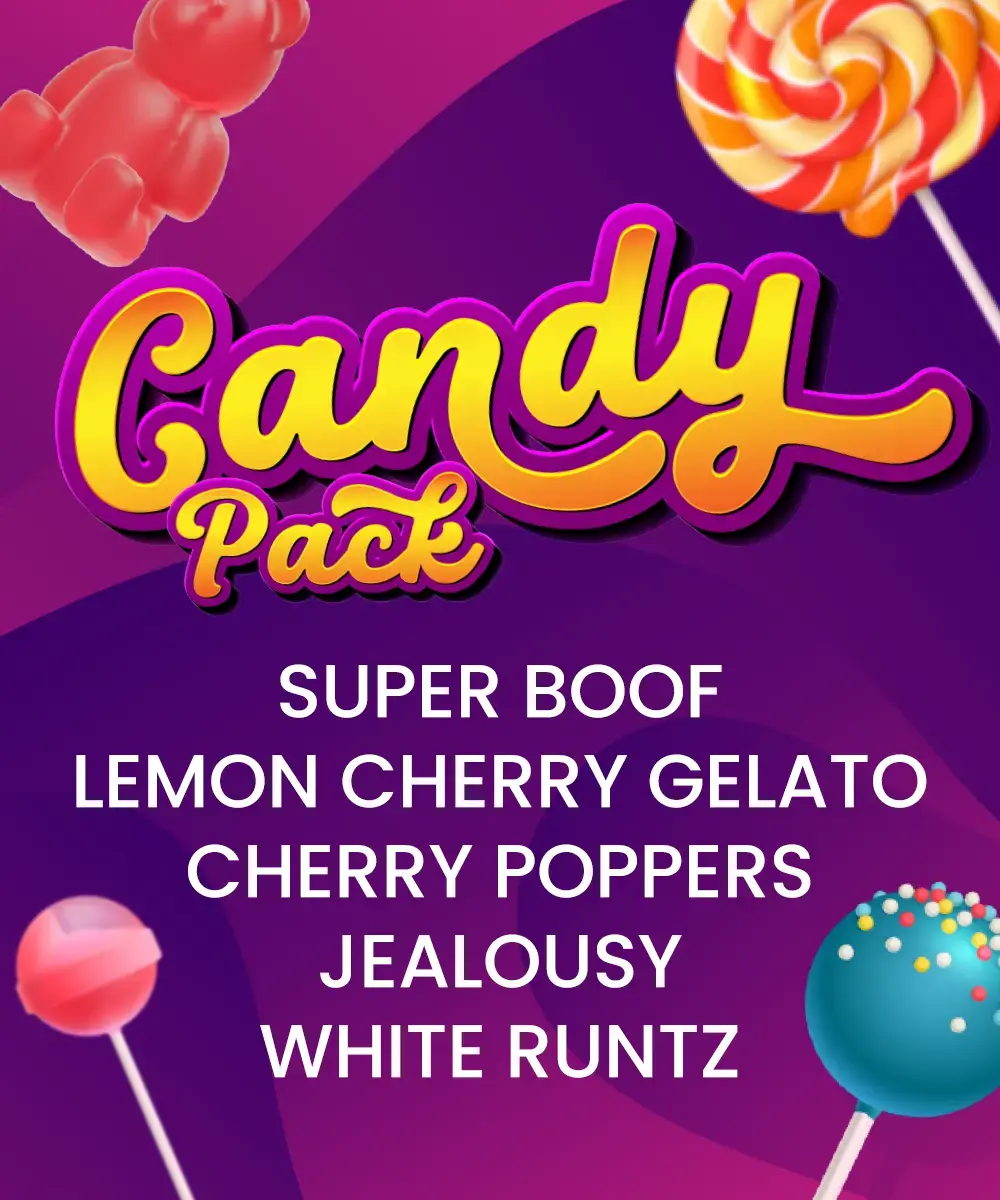 Candy Pack – Seasonal Feminized