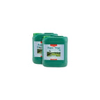 Canna Aqua Vega A+B - Fertilizzanti Crescita in Idroponica