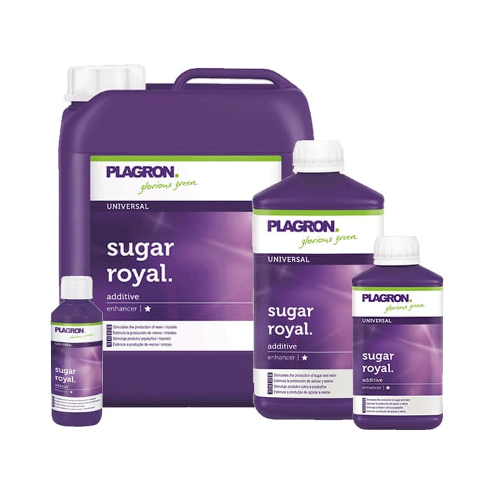 Sugar Royal Plagron - Booster Amminoacidi