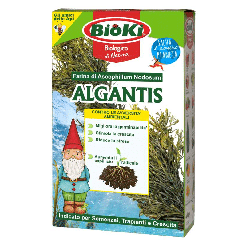 Algantis 1Kg Ascophyllum Nodosum