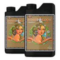 Sensi Bloom Coco A+B pH Perfect Advanced Nutrients - Bloom for Coco