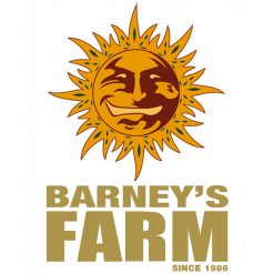 Barney's Farm Autofiorenti